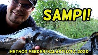 SAMPI! Method feeder-kalastusta 2020