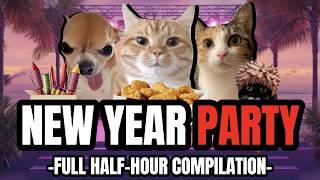 Cat MEMES: NEW YEAR PARTY - FULL HALF-HOUR COMPILATION