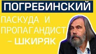 Погребинский это паскуда и пропагандист — Шкиряк