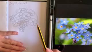 How to draw flowers | Forget-me-not flower tutorial video | Working in pointillism