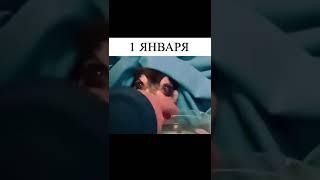 все люди после нового года - после нового года -новый год #приколы  #приколы с животными январь 2022