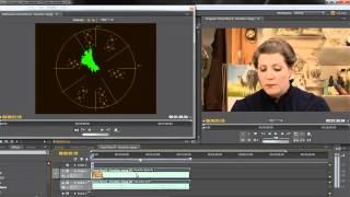 The Vectorscope in Premiere Pro