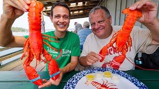 The Ultimate LOBSTER ROLL Tour!!  Best Lobster Shacks in Maine, USA!!