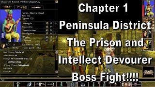 Neverwinter Nights Enhanced Edition Chapter 1 The Prison and Intellect Devourer Boss Fight