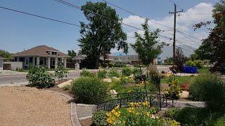 What do Water Wise Landscapes Look Like in Utah, A Yard With Year Round Color