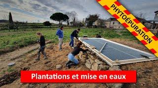 Phytoépuration / Etanchéité, mise en eau et plantations