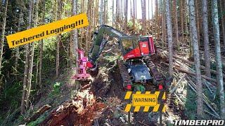 TimberPro TL755D "West Coast Edition" Steep Slope Logging - Tethered / Winch Assist
