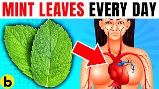 10 POWERFUL Reasons Why You Need To Have Mint Leaves Every Day