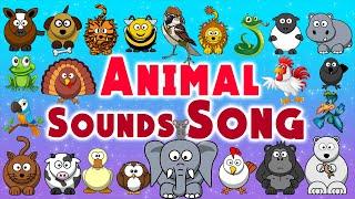 The Animal Sounds Song | Animal Songs for Preschool | LittleKidsTV