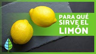 Propiedades y BENEFICIOS del LIMÓN para la SALUD  (Cómo Tomar Limón y Contraindicaciones)