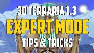 Terraria 1.3 30 EXPERT MODE TIPS & TRICKS YOU MUST KNOW! | PC | PS4 | XBOX1 | Mobile