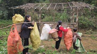 Discovered the long abandoned bamboo house where we used to live and cleaned it up to move in.