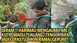 SERAM !! HARIMAU MENGAUM TIME KUTIP MADU TUALANG, TENGOK APA JADI LEPASTU BIKIN RAMAI GERUN...