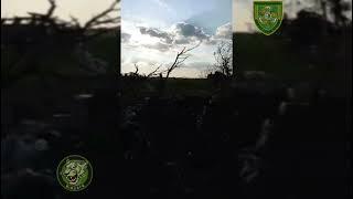 Kursk - XX.10.2024. Archival Video Straight From The Front Line Showing Knocked Out Ukrainian MRAPs.