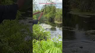 MANCING DI SUNGAI BERAIR HITAM BIKIN DEK-DEKAN DIKIRA DAPAT IAKN TOMAN #125 #bocahpecicilan