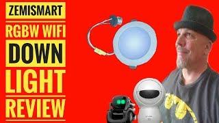 Zemismart WIFI RGBW 10W Downlight  Smart Life Alexa Google Home