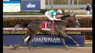 Arrogate (USA) - 2017 Pegasus World Cup Invitational