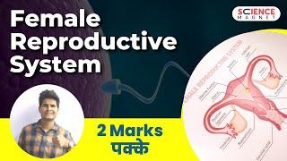 Female Reproductive System (मादा प्रजनन तंत्र)  | Biology by Neeraj Sir #neerajsir #biology