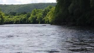 Black bear crossing Lehigh river