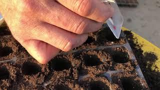 Как быстро высеять семена в кассету для рассады. Посев томата/капусты и т.д