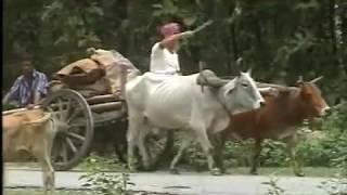 Garial Bhai - Mahisal Bondhu