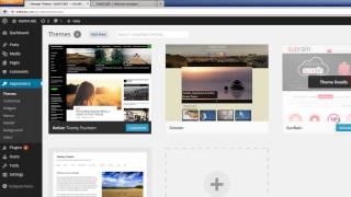 Installing and Managing Themes in WordPress