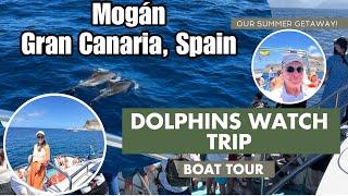 Dolphins  Trip | Boat Tour | A wonderful trip off the coast of Gran Canaria Spain 