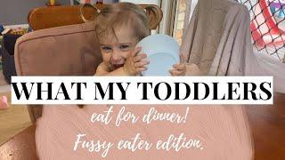 WHAT MY TODDLERS EAT FOR DINNER | FUSSY EATER EDITION