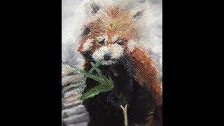 April red panda challenge!!! Sai Manish Gunnala