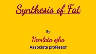 Synthesis Of Fat