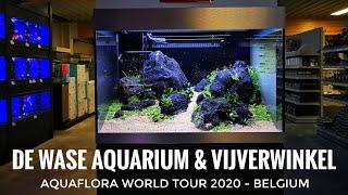 Tour - De Wase Aquarium Winkle - Belgium 2020