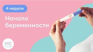 4 недели. Начало беременности