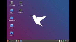 Make Ubuntu Lubuntu 20.04 VBox Auto Resize Full Screen Display by Installing VBox Guest Additions