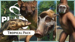 All New Animals & Build Pieces! | Planet Zoo Tropical Pack | Overview