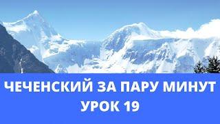 Чеченский язык. Урок 19. "Кхин а ц1ердешнийн легарх лаьцна  (Еще о склонении имен существительных)