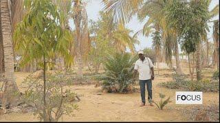 In Senegal, a master of permaculture grows a lush oasis in the desert