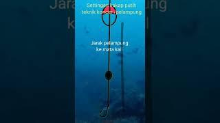 Settingan Mancing Kakap Putih Teknik Koncer /Pelampung.