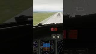 Hurricane Milton Jacksonville American Boeing 737-800 Landing #xplane11 #boeing #zibo737 #shorts