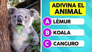 Adivina el Animal Correcto | Test de 50 + 1 Animales 