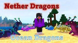 Dragons! Biomes: Dragons in the Ocean, Dragons in the Nether