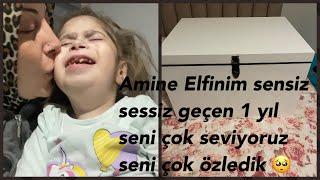 AMİNE ELFİNİM SENSİZ SESSİZ GEÇEN 1 YIL SENİ ÇOK SEVİYORUZ SENİ ÇOK ÖZLEDİK