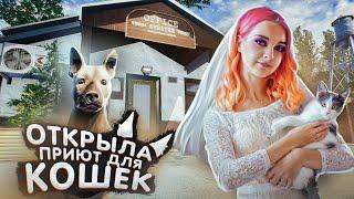 ПРИЮТИЛА ТРЕХ КОШЕК! ► Animal Shelter #1