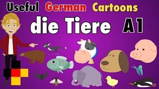 Learn Useful German: die Tiere - the animals / 25 animals in German for Beginners / Videos A1 - A2