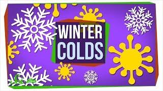 Why Do We Get Colds When It's Cold?