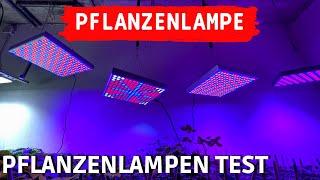 TEST: Profi LED Pflanzenlampe vs. billiges Amazon Grow Light - LED Pflanzenlichter Vergleich
