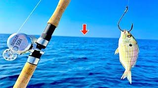 Fishing a LIVE! Pinfish *120ft.* DEEP in the GULF of MEXICO for Dinner....[EPIC Results]