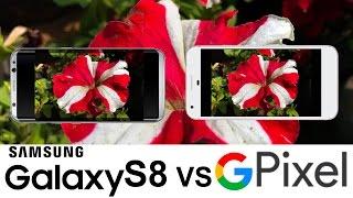 Samsung Galaxy S8 Vs Google Pixel Camera Test