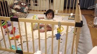 Toko-chan in the Playpen