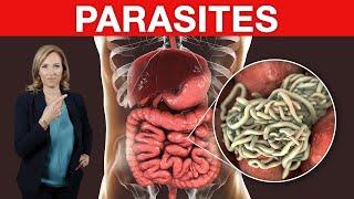 BEST Ways to Get Rid of PARASITES | Dr. Janine