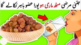 Kishmish Sy Be Panah Taqat | Raisins Benefits For Health | Kishmish Ke fayde |Jism Ka Sasta- Booster